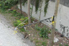 8th August 2009