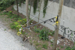 8th August 2009