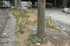 8th August 2009