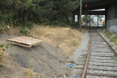 8th August 2009