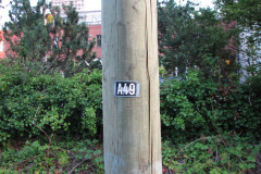 22nd August 2009