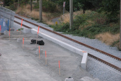 22nd August 2009