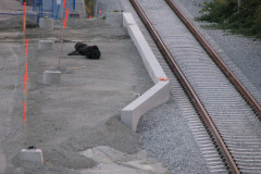 22nd August 2009