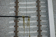 29th August 2009