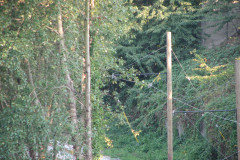 29th August 2009