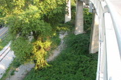 29th August 2009