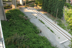 29th August 2009