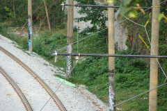 29th August 2009