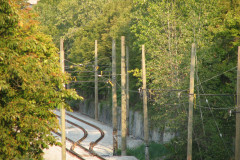 29th August 2009