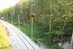 29th August 2009
