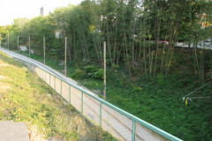 29th August 2009