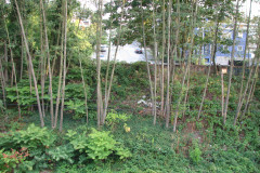 29th August 2009