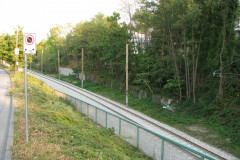 29th August 2009