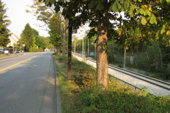 29th August 2009