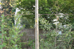 29th August 2009