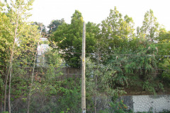 29th August 2009