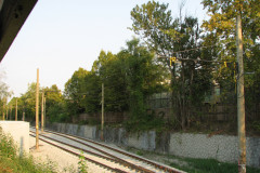 29th August 2009