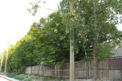 29th August 2009