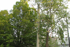 29th August 2009