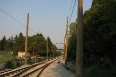 29th August 2009