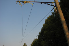29th August 2009
