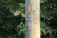 29th August 2009