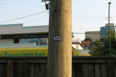 29th August 2009