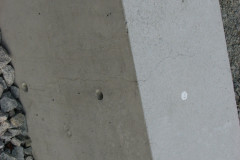 29th August 2009