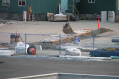 29th August 2009