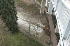   - 14 February 2009