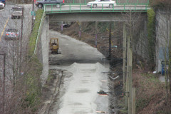   - 14 February 2009