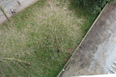   - 07 March 2009