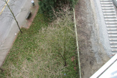   - 07 March 2009