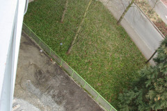   - 07 March 2009