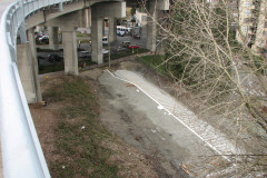   - 07 March 2009