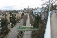   - 07 March 2009