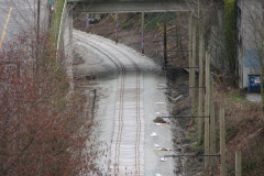  - 07 March 2009