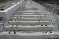   - 07 March 2009