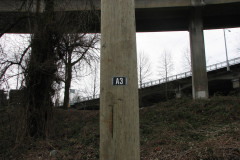   - 07 March 2009