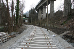  - 07 March 2009