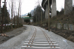   - 07 March 2009