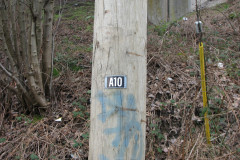   - 07 March 2009
