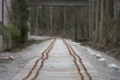   - 07 March 2009