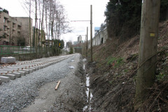   - 07 March 2009