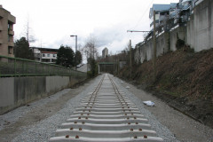   - 07 March 2009