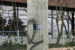   - 07 March 2009