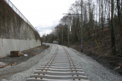   - 07 March 2009