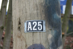   - 07 March 2009