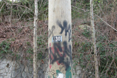   - 07 March 2009
