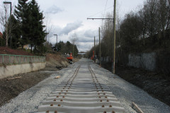   - 07 March 2009